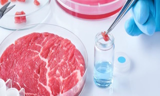Лабораторный анализ пищевых продуктов по СанПиН в Великом Устюге в октябре