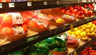 Сертификация пищевой продукции в Великом Устюге – цена от 10179 руб. | ПромМир-Влс