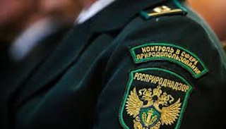 Подготовка к проверке Росприроднадзора в Великом Устюге от ПромМир-Влс, стоимость услуги от 20358 руб.